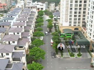 Biệt thự đức dương beverly hills bàn giao thô vị trí đẹp cư dân tinh hoa