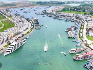 Liền kề mặt cảng tuần châu vị trí trung tâm