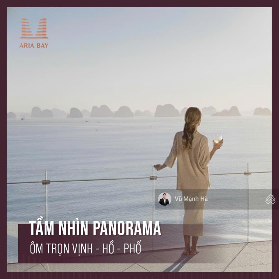 Aria bay tháp đôi đẹp hạ long giá đầu tư