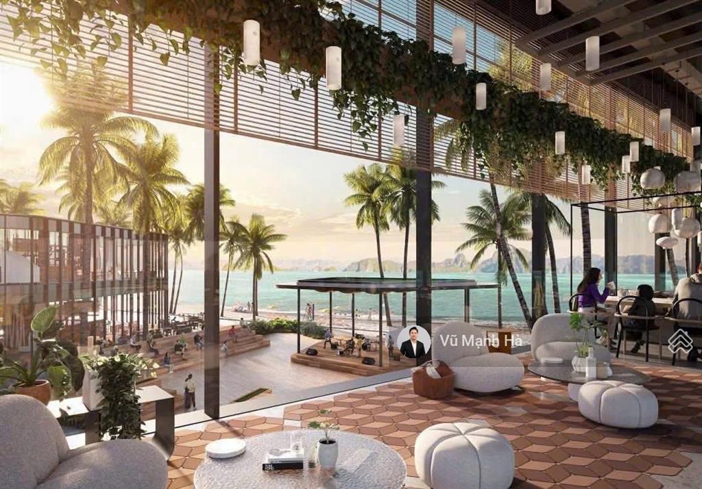Aria bay tháp đôi đẹp hạ long giá đầu tư
