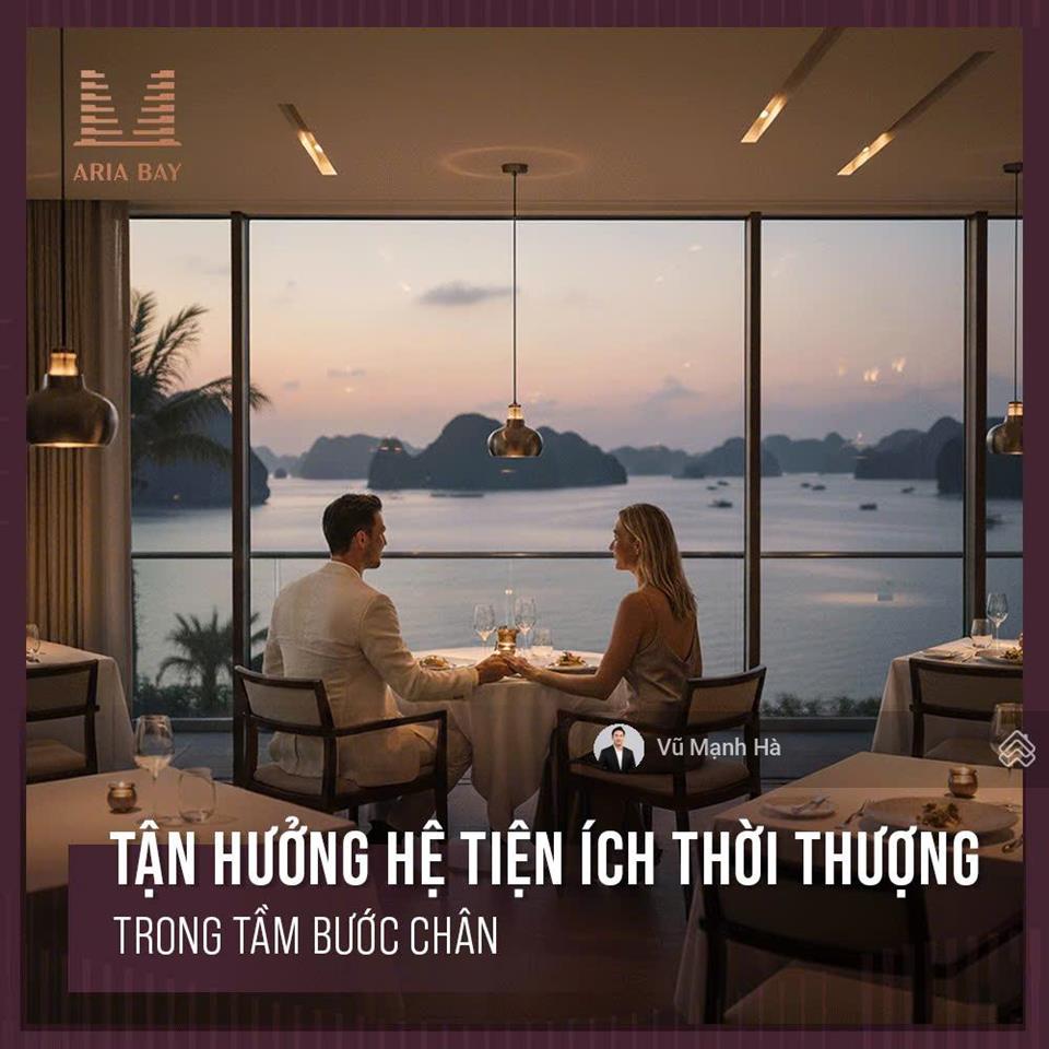 Aria bay tháp đôi đẹp hạ long giá đầu tư