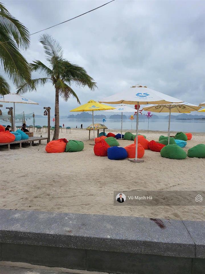 Harbor bay mặt biển siêu hiếm giá phải chăng