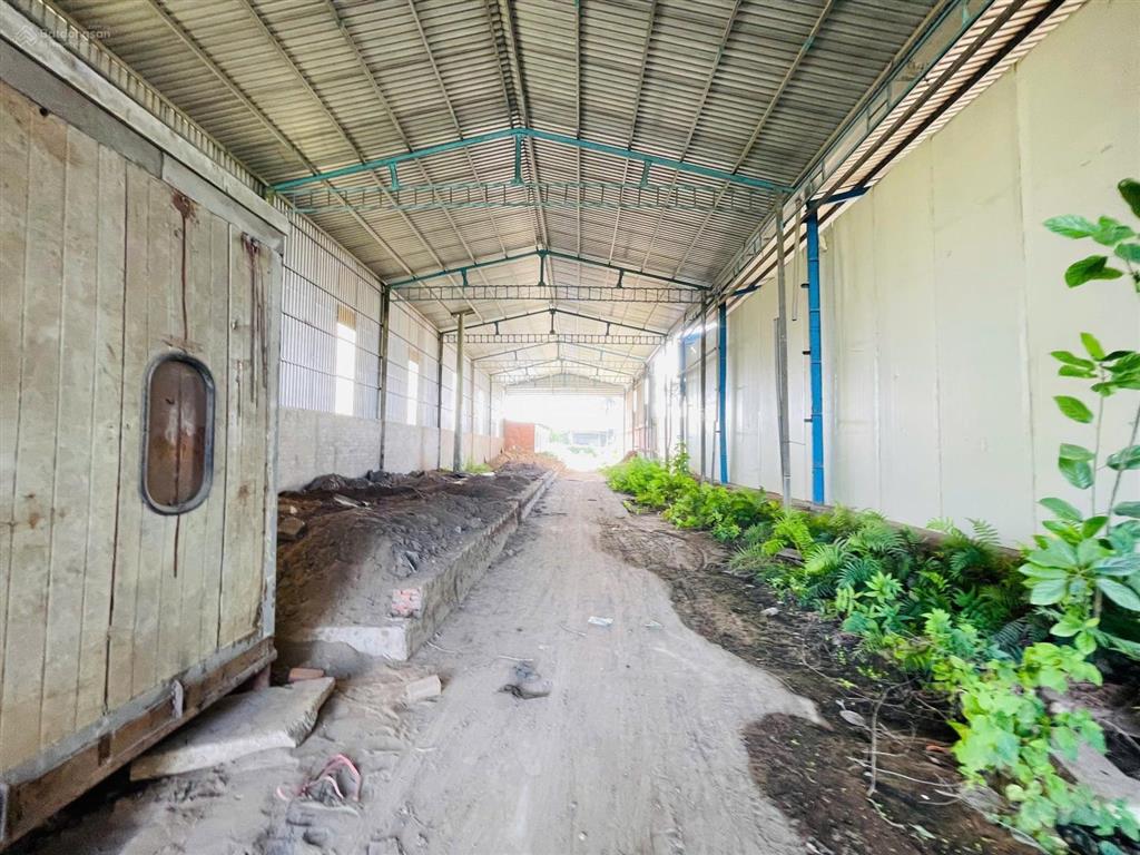 Bán 5 thửa đất liền kề tại mặt tiền đường trương văn diễn, ô môn, cần thơ. 12,15 tỷ, 5918,6 m2