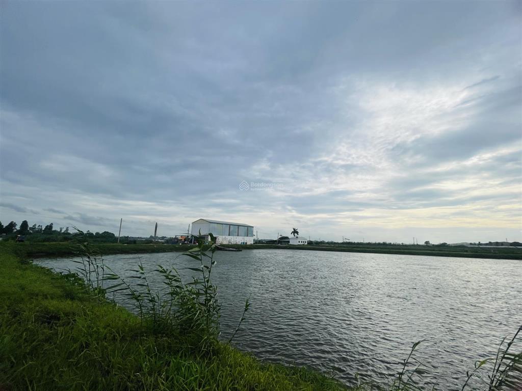 Bán 2 vùng nuôi tại xã nhơn mỹ và xã long giang, t. an giang rộng đến hơn 40ha chỉ 108.1 tỷ đồng