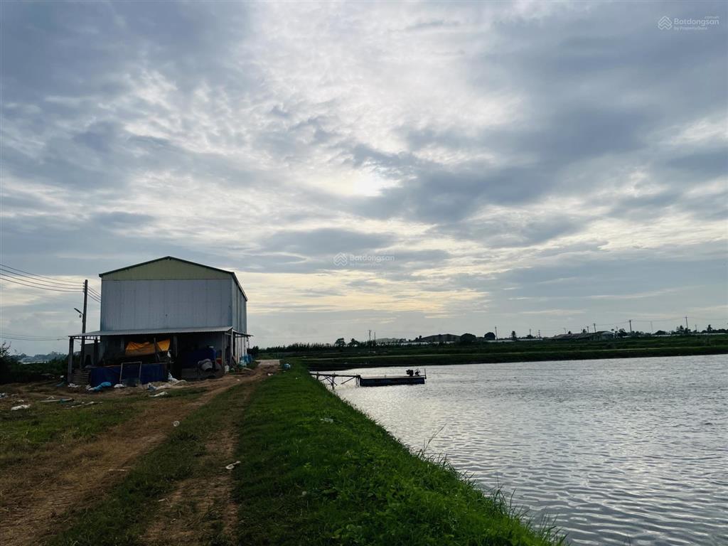 Bán 2 vùng nuôi tại xã nhơn mỹ và xã long giang, t. an giang rộng đến hơn 40ha chỉ 108.1 tỷ đồng