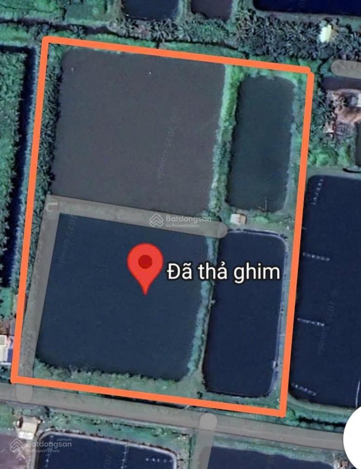 Ngân hàng thanh lý đất ở trần đề