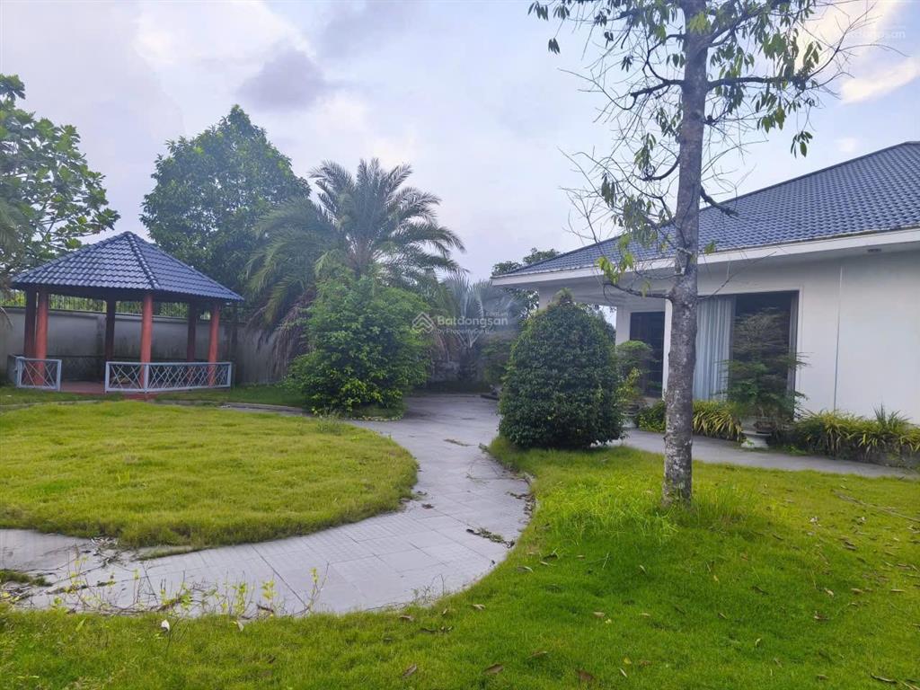 Ngân hàng bán biệt thự gần khu di tích giàn gừa