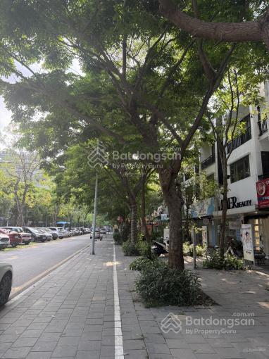 Bán nhà phố thương mại 100m², dãy a thủy nguyên, khu đô thị ecopark, mặt tiền 5m, cao 4 tầng