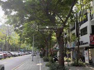 Bán nhà phố thương mại 100m², dãy a thủy nguyên, khu đô thị ecopark, mặt tiền 5m, cao 4 tầng