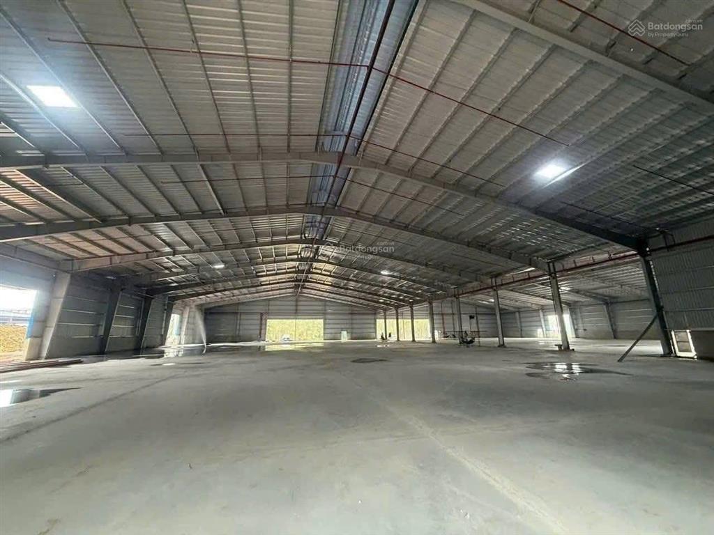 Cho thuê xưởng 5000m²  giá 300 triệu tại phú giáo