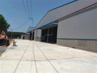Cho thuê xưởng 5000m²  giá 300 triệu tại phú giáo