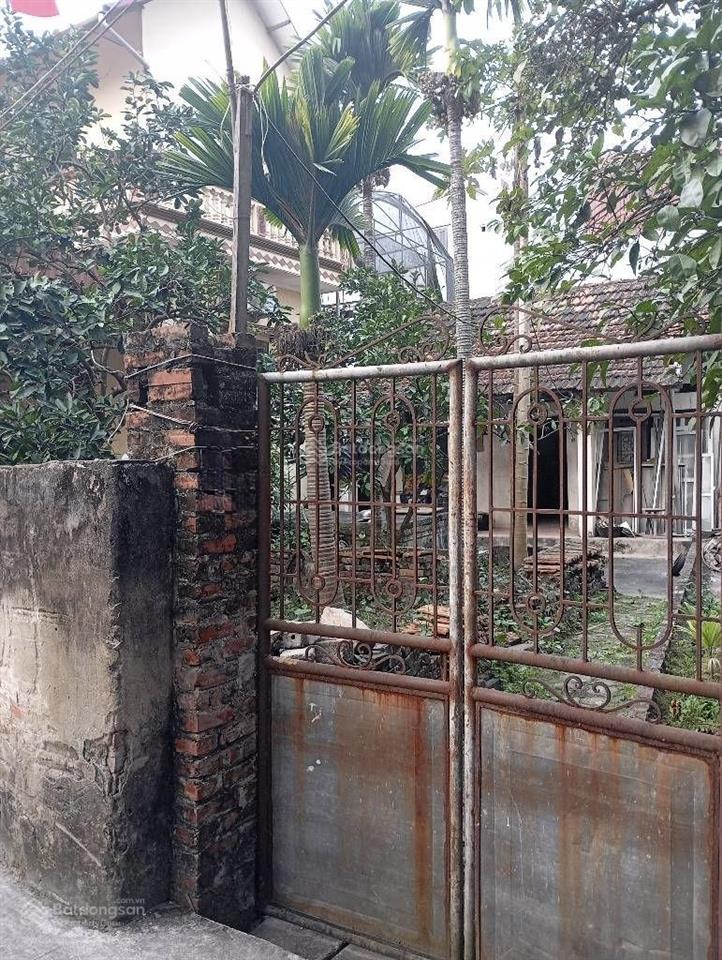 Bán đất tại liên mạc, cơ hội tốt để sở hữu ngay giá rất đáng đầu tư.
