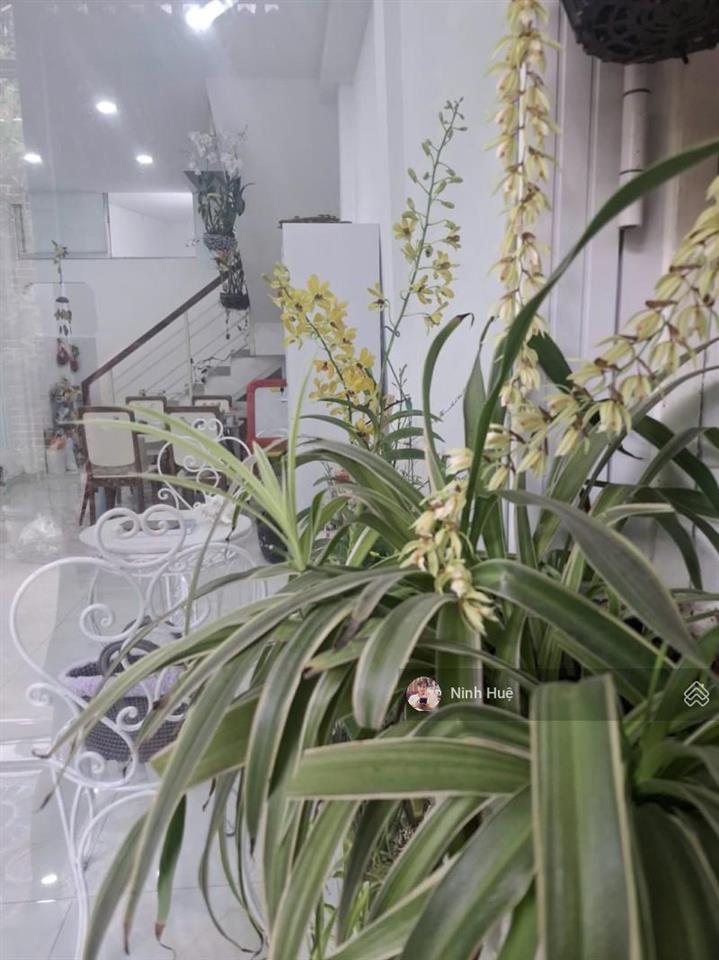 Cmt8  hẻm 3f  thông tô hiến thành  hòa hưng  khu dân trí  giá 6,8 tỷ.