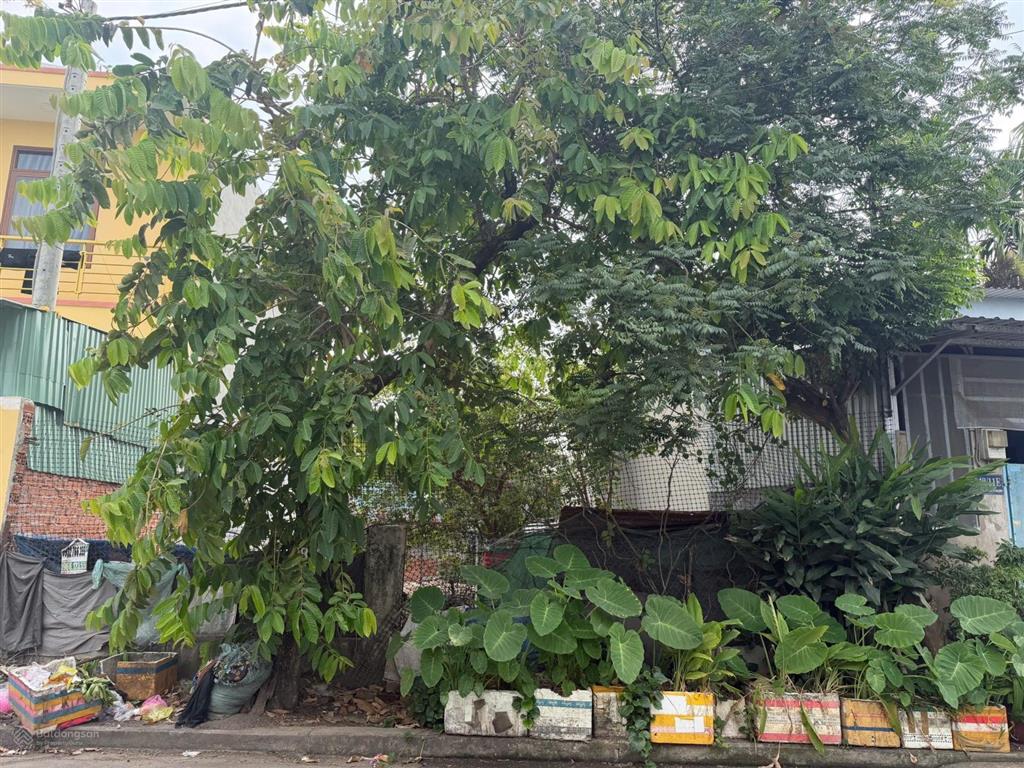 Bán đất 150m2 giá cực chất tại đường xuân thới thượng 4, bà điểm, hồ chí minh