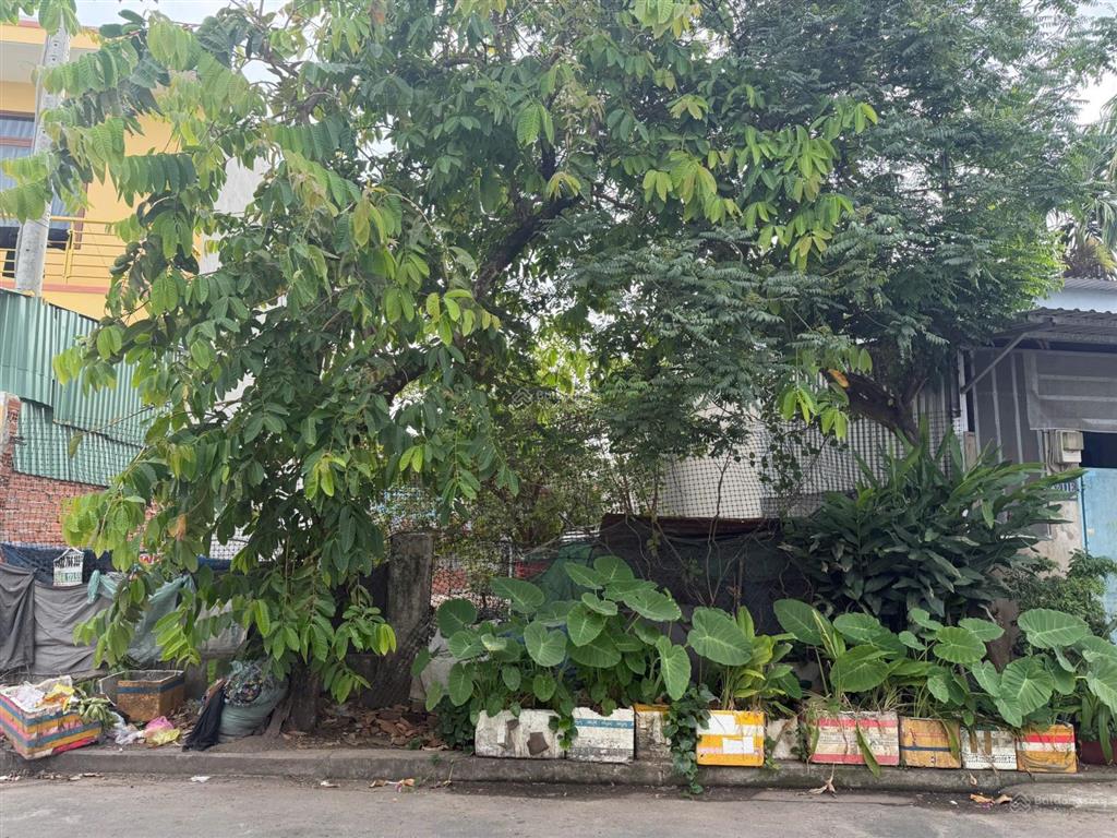 Bán đất 150m2 giá cực chất tại đường xuân thới thượng 4, bà điểm, hồ chí minh