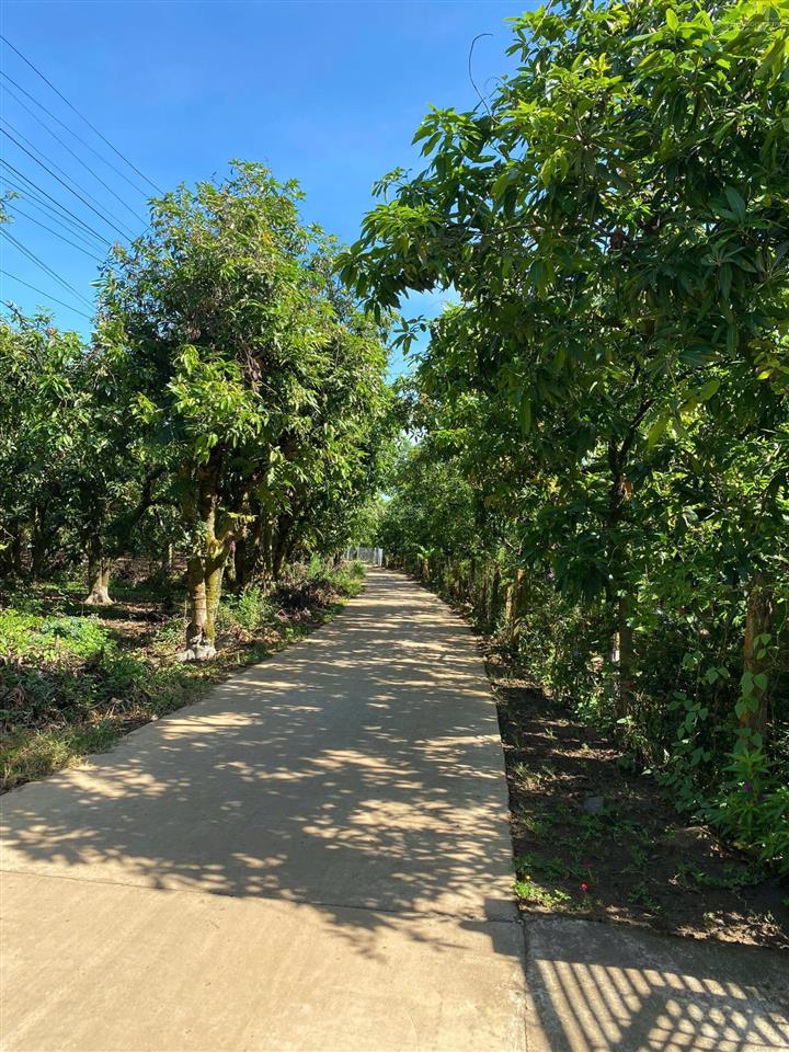 Đất full thổ cư 155m2 giá chỉ 520 triệu, sổ hồng riêng, đường bê tông ô tô gần hồ trị an mát mẻ