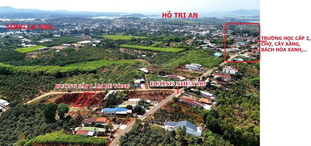 Bán gấp đất ngay trung tâm xã định quán, gần ql20, đường ô tô, sổ hồng riêng, gần chợ & trường học