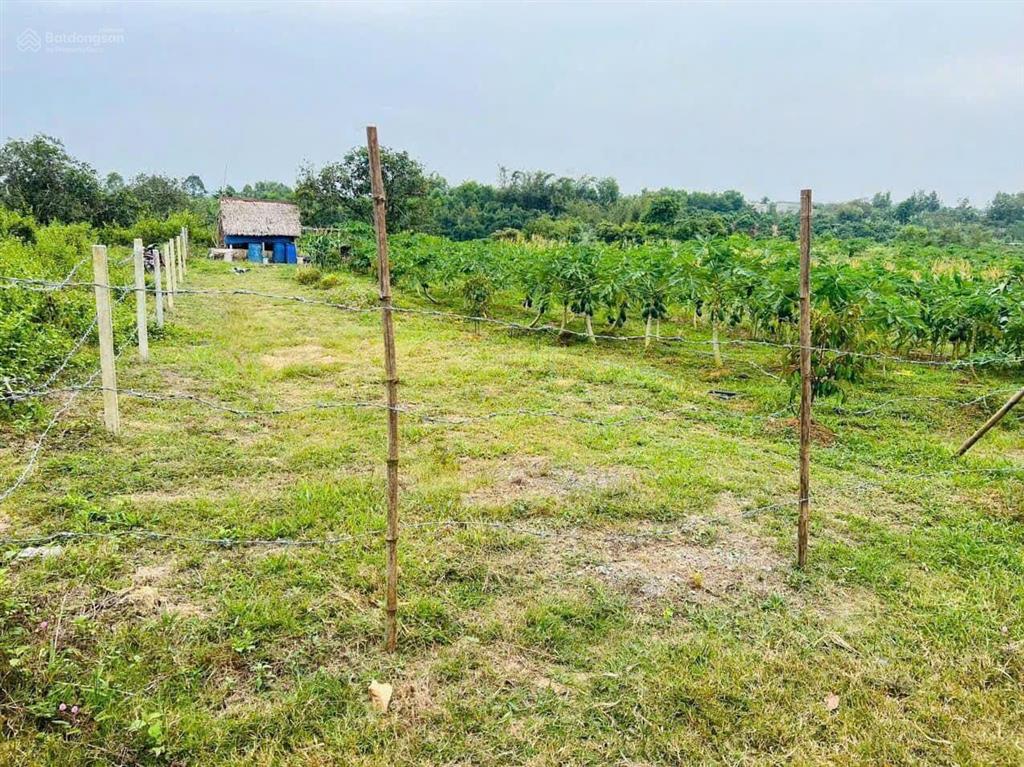 Bán gấp đất vườn 1005m2 giá chỉ 460 triệu, đường ô tô đến đất, sổ hồng riêng