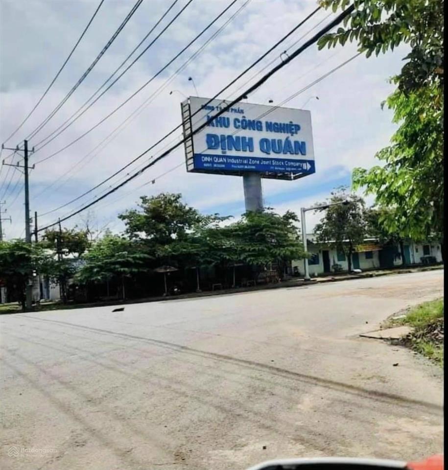 Bán đất đang trồng cao su 1387m2 hơn 6 năm tuổi, giá chỉ 569tr, ra đường nhựa nam lộ chỉ 400m