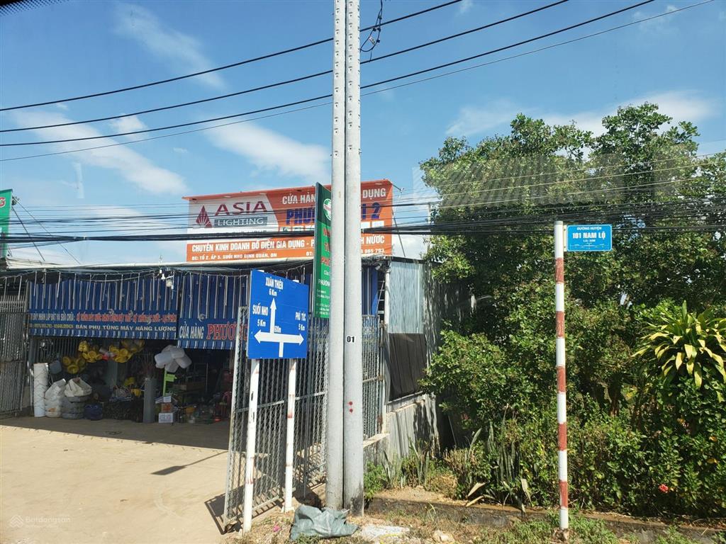 Bán đất đang trồng cao su 1387m2 hơn 6 năm tuổi, giá chỉ 569tr, ra đường nhựa nam lộ chỉ 400m