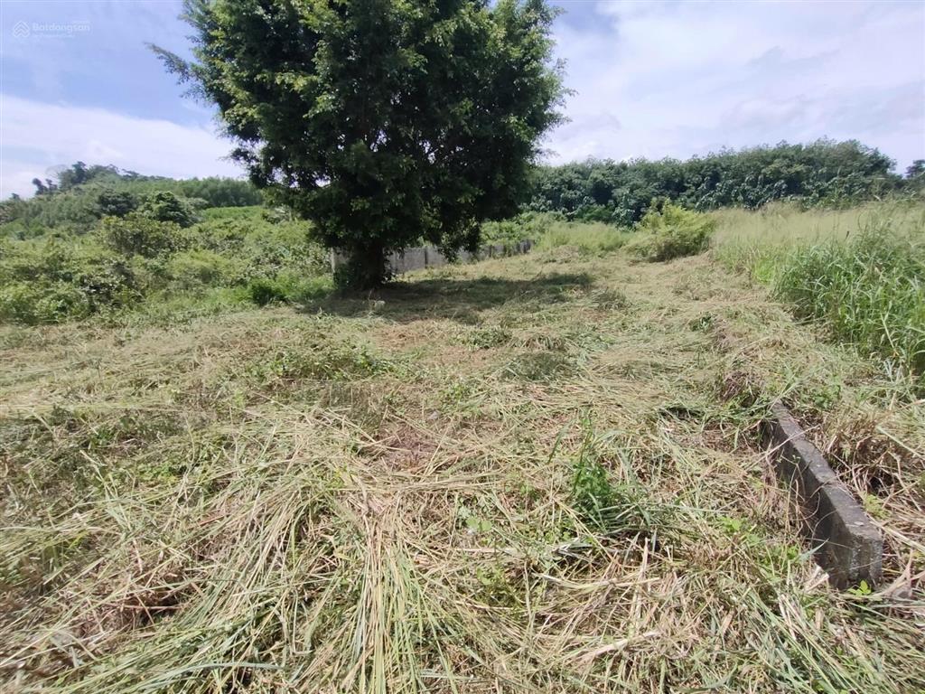 Bán 600m2 đất thổ cư mặt tiền quốc lộ 20 gần trạm dừng chân cảnh thảo nguyên, thuận tiện kinh doanh