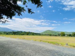 14 lô diên hoà giá tốt đầu tư sinh lời cách ql27c chỉ khoảng 100m