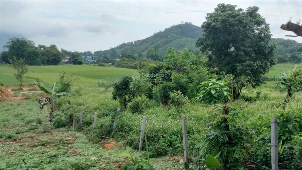 Cần bán lô đất view cánh đồng tại xóm cháu xã tu lý, đà bắc, hòa bình