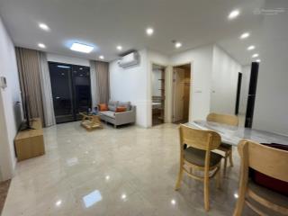 Tôi chủ nhà cho thuê căn hộ 2n2vs tại d'capitale/ apartment for rent at the d'capitale by owner