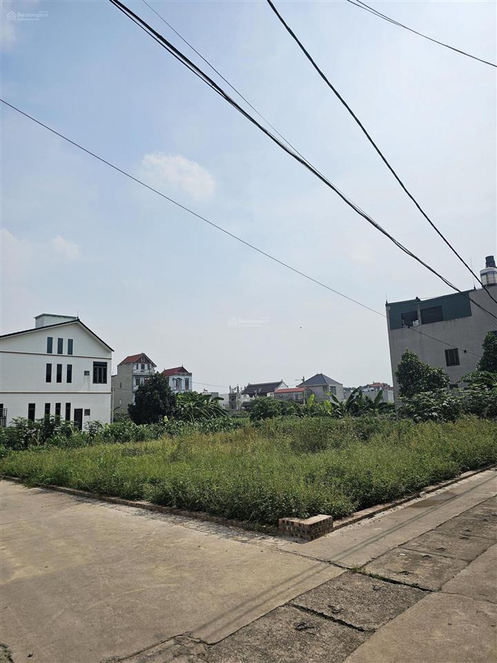 Trung giã sóc sơn 100m đất đẹp, giá chỉ 785 triệu