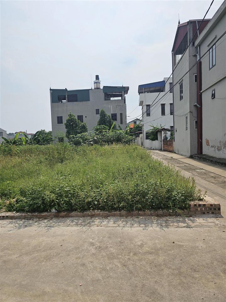 Trung giã sóc sơn 100m đất đẹp, giá chỉ 785 triệu