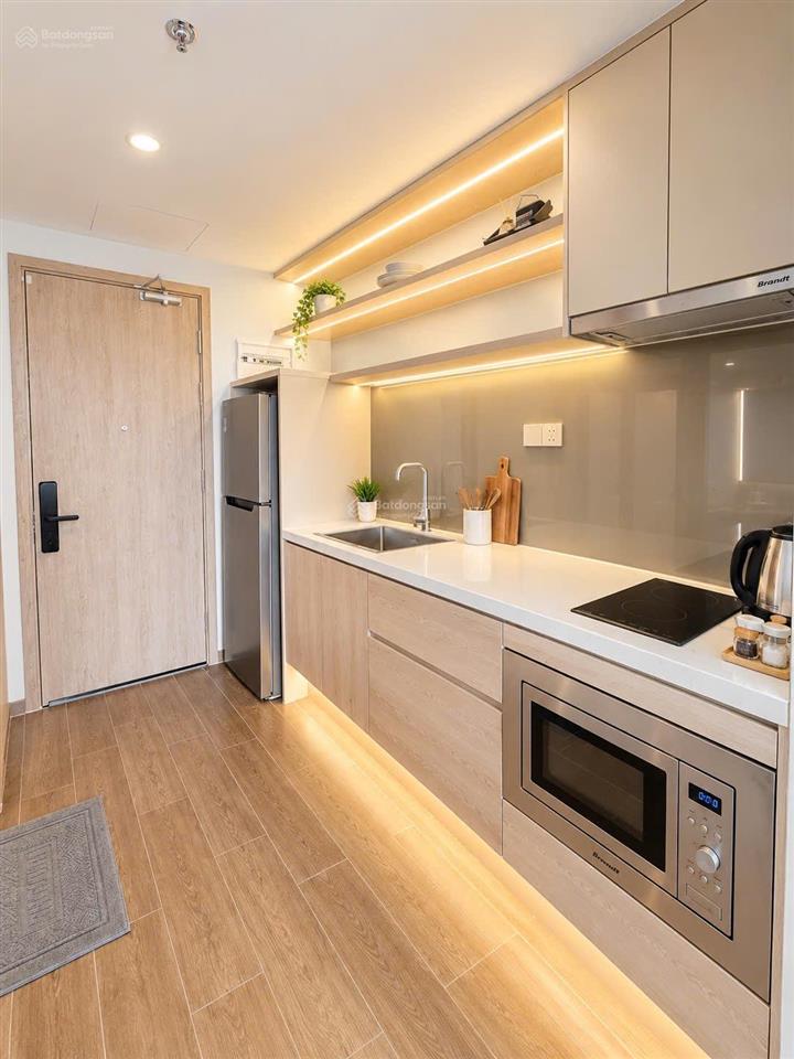Cho thuê chung cư mini the maris vũng tàu, giá thỏa thuận, 45m2, 1pn, 1wc, view trực diện pháo hoa