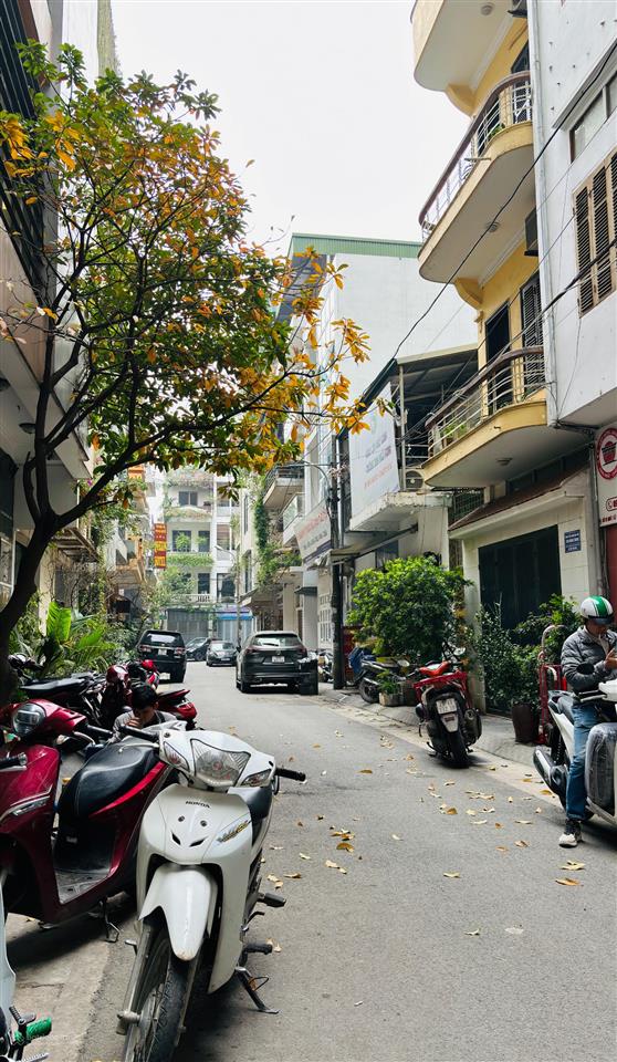 Bán tòa văn phòng 9 tầng thang máy phân lô ngụy như kon tum kinh doanh sầm uất dòng tiền sẵn