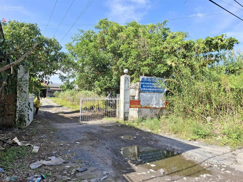 Chính chủ bán lô đất 5.269m²  ql30, bình hàng tây, cao lãnh, đồng tháp