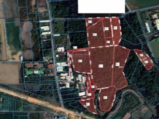 Bán 2,5 ha đất mặt tiền nguyễn văn trị đại phước, nhơn trạch. giá 10tr/m2