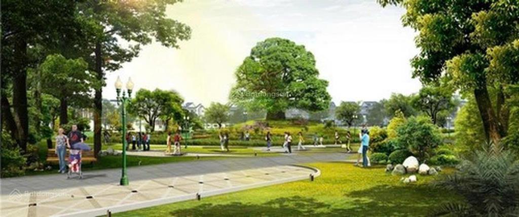 Lô c2 tmdv 1.843m2 khối phố 6, giá rẻ lô đẹp