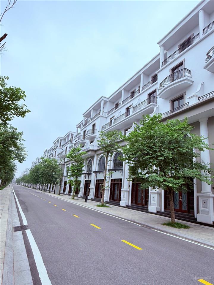 Chỉ 120tr/m2 có ngay biệt thự vinhomes ocean park 3, 17,4 tỷ, 144m2 phân khu vịnh xanh, hàng hiếm