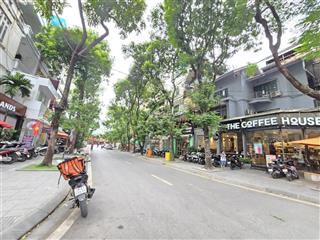 Mặt phố trần điền, kđt định công  89m2 * 5 tầng, mặt tiền rộng. vị trí cực đẹp, kinh doanh tốt