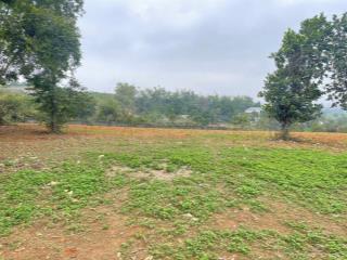 Chính chủ bán 1024.2m² có đất ont t6 hưng long, bình chánh mặt tiền 20m, giá tốt 16tr/m²