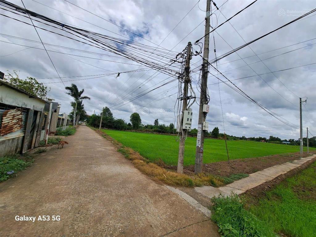 Chính chủ cần bán trọn khu đất 7.045m² tại ấp 2, xã phước tuy, cần đước