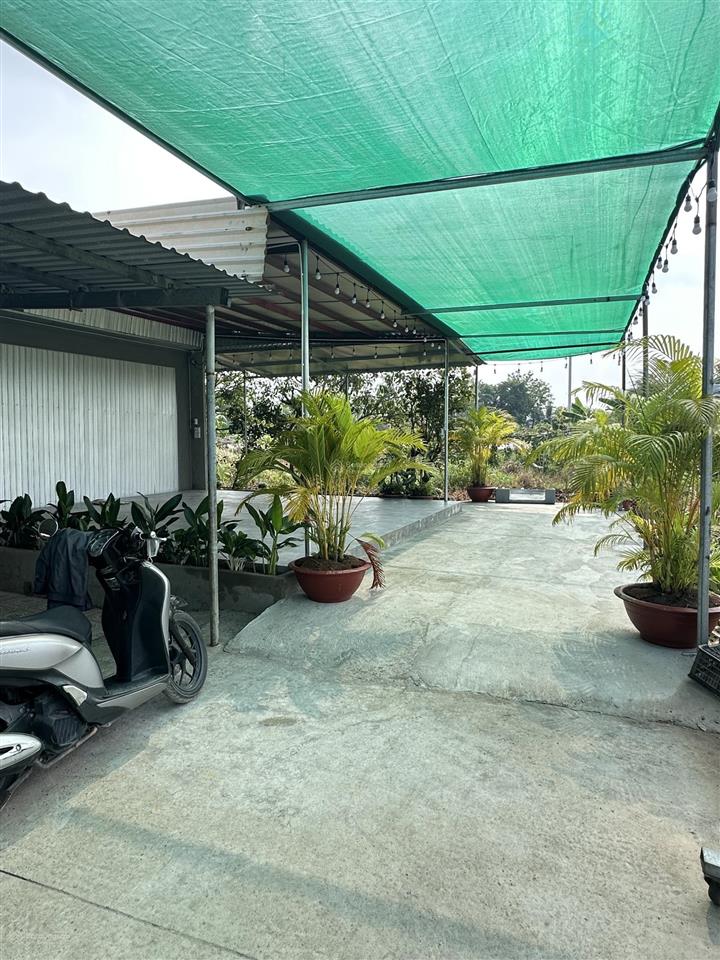 Cần tiền bán gấp nhà vườn đang kinh doanh cafee