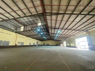 Cho thuê kho, nhà xưởng 1400m2, 60 nghìn / m2 có pccc tự động tại hồng bàng, hải phòng