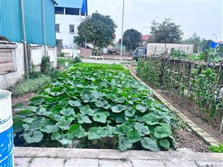 Chính chủ gửi bán 90m2 đất tân quang xã như quỳnh  hưng yên , nhỉnh 5 tỷ, phân lô vỉ hè.