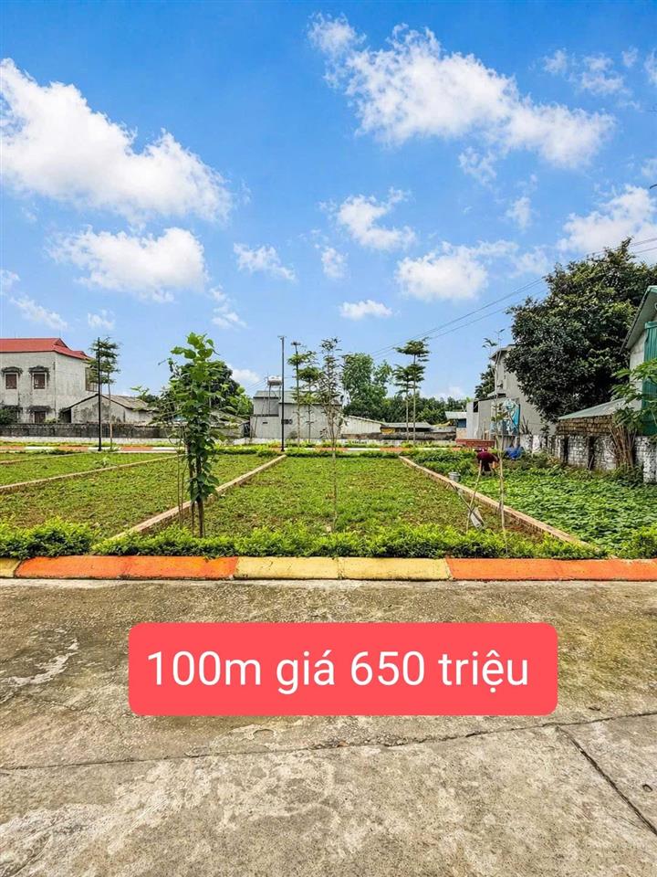 650 triệu 100m², full thổ cư, trục chính sóc sơn, hà nội, sẵn sổ đỏ