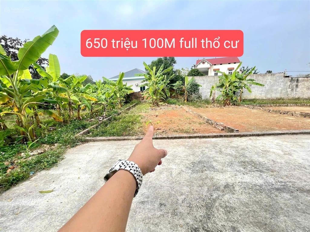 650 triệu 100m², full thổ cư, trục chính sóc sơn, hà nội, sẵn sổ đỏ