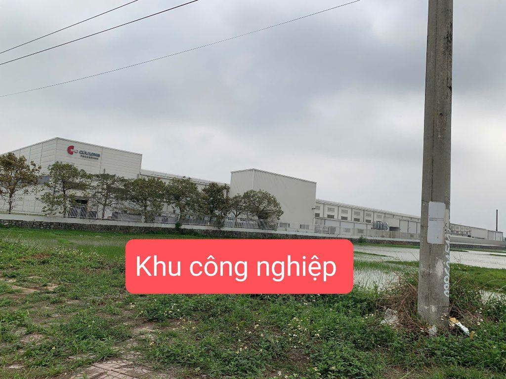 Nhỉnh 1 tỷ đất gần hồ Đại Lải Flamingo tổ hợp trường đại học sư phạm Hà Nội 2