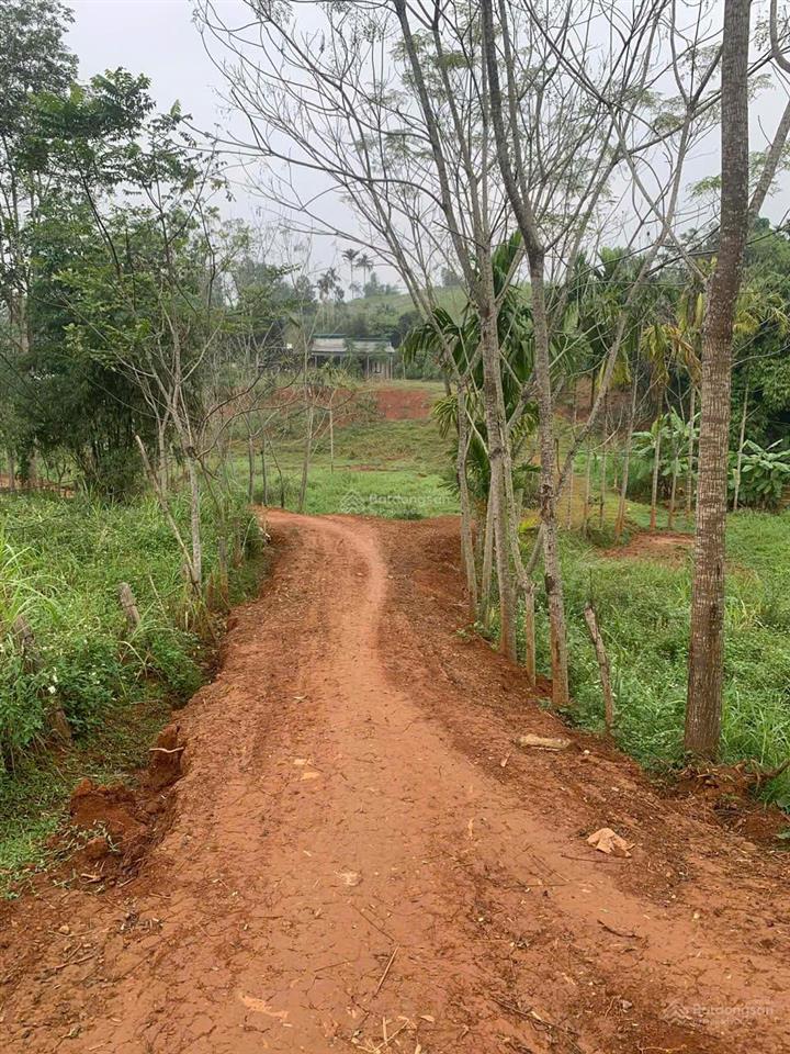 Bán đất tại làng mót, xã nguyệt ấn, ngọc lặc, thanh hóa, chỉ từ 390 triệu, 100m2