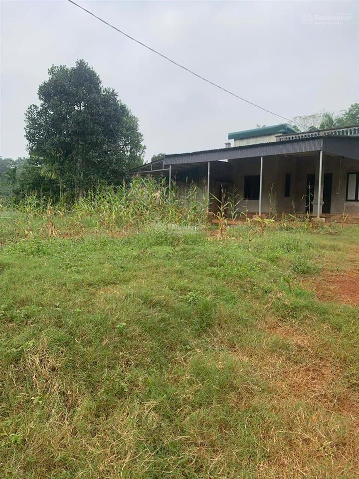 Bán đất tại làng mót, xã nguyệt ấn, ngọc lặc, thanh hóa, chỉ từ 390 triệu, 100m2