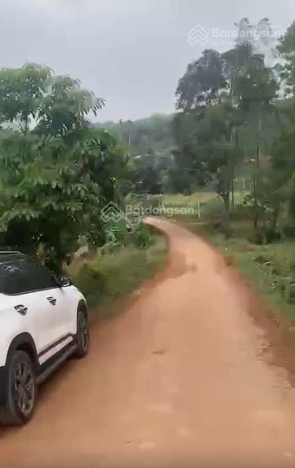 Bán đất tại làng mót, xã nguyệt ấn, ngọc lặc, thanh hóa, chỉ từ 390 triệu, 100m2