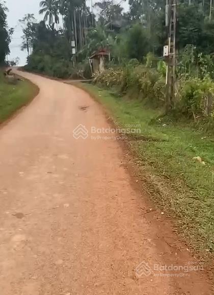 Bán đất tại làng mót, xã nguyệt ấn, ngọc lặc, thanh hóa, chỉ từ 390 triệu, 100m2