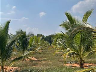 Dự án nhà vườn sinh thái 18 hécta vị trí chiến lược cạnh sân bay phan thiết& siêu đô thị sun group